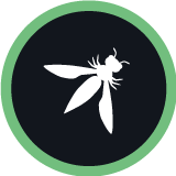 Curso de OWASP Top 10: Riesgos en Aplicaciones