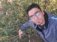 Abel Somocurcio